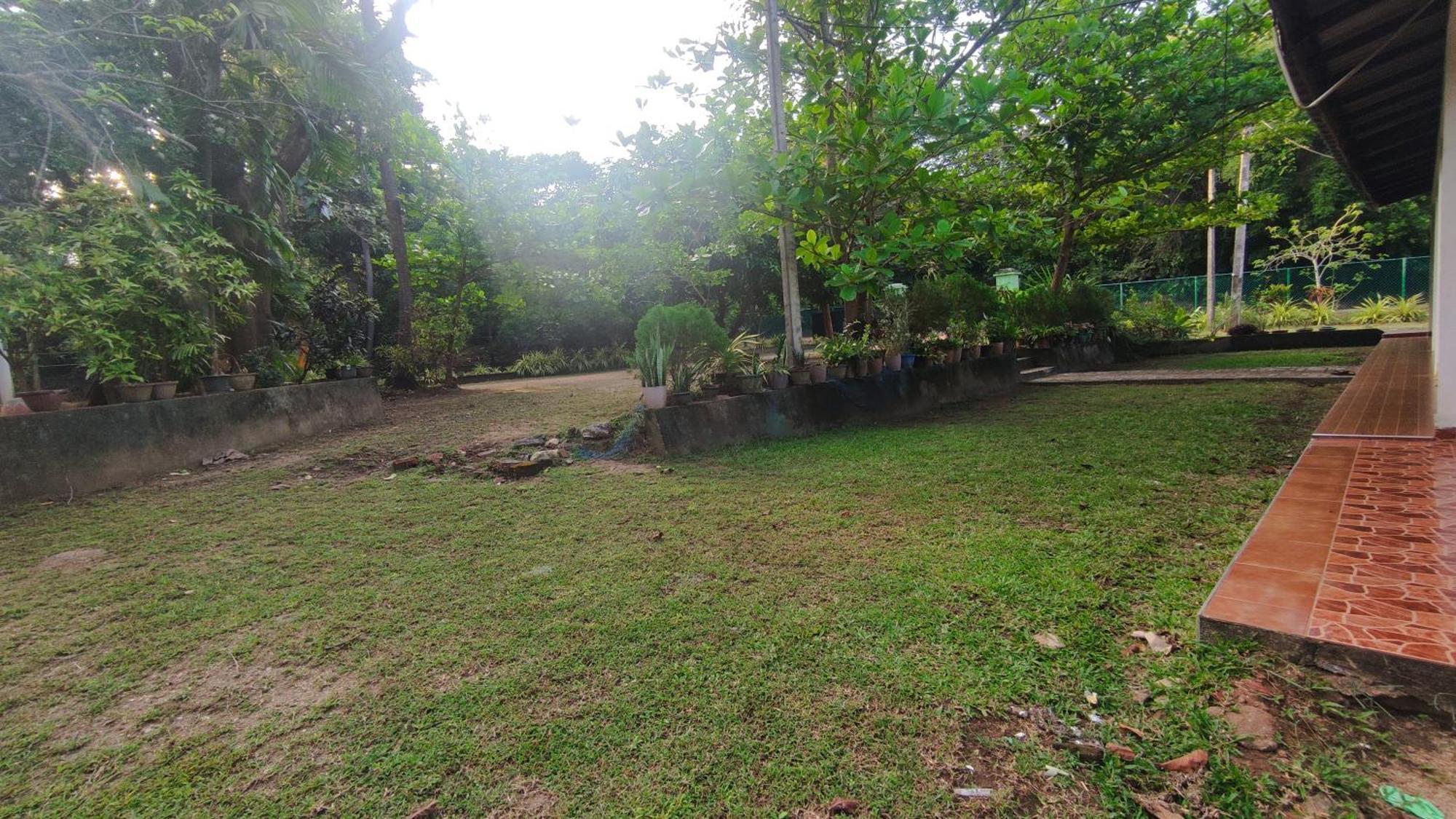 Hotel Deer Garden Guest Polonnaruwa Exteriér fotografie